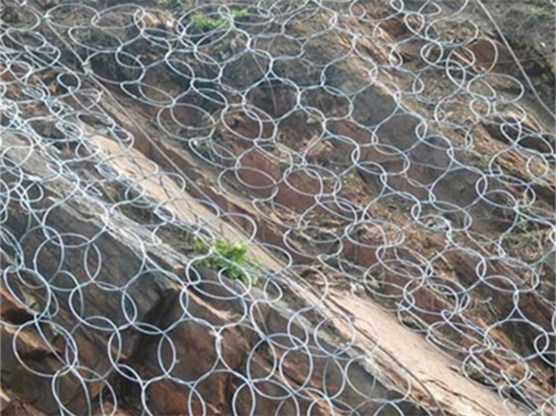 主动边坡防护网