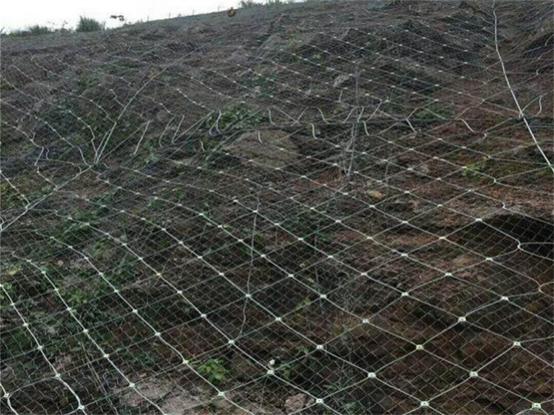 主动边坡防护网